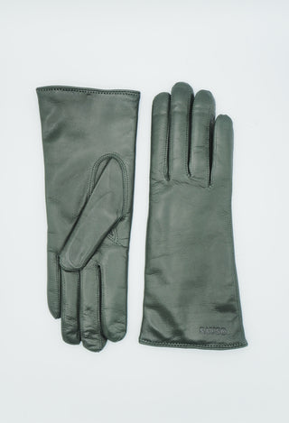 KAISA Lammas | Kashmir | Agave