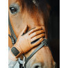 VAULA Horse Riding Gloves |...