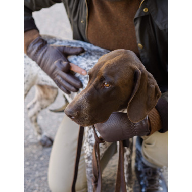 PYRY Hunting Glove | Elk | Wool | Dark Brown